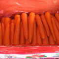 Nueva cosecha de zanahoria fresca de buena calidad